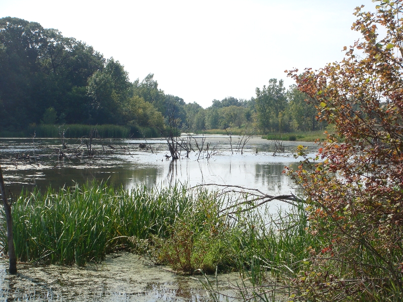 Western Michigan [2009] 375.JPG - Scenes from Frederik Meijer Gardens & Sculpture Park.